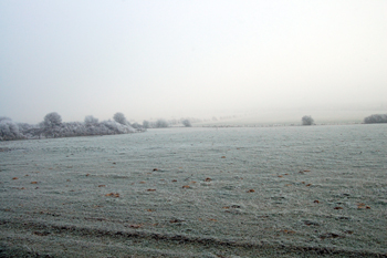 The site of the Roman Villa January 2010